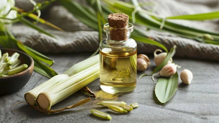 Organic Lemongrass Oil