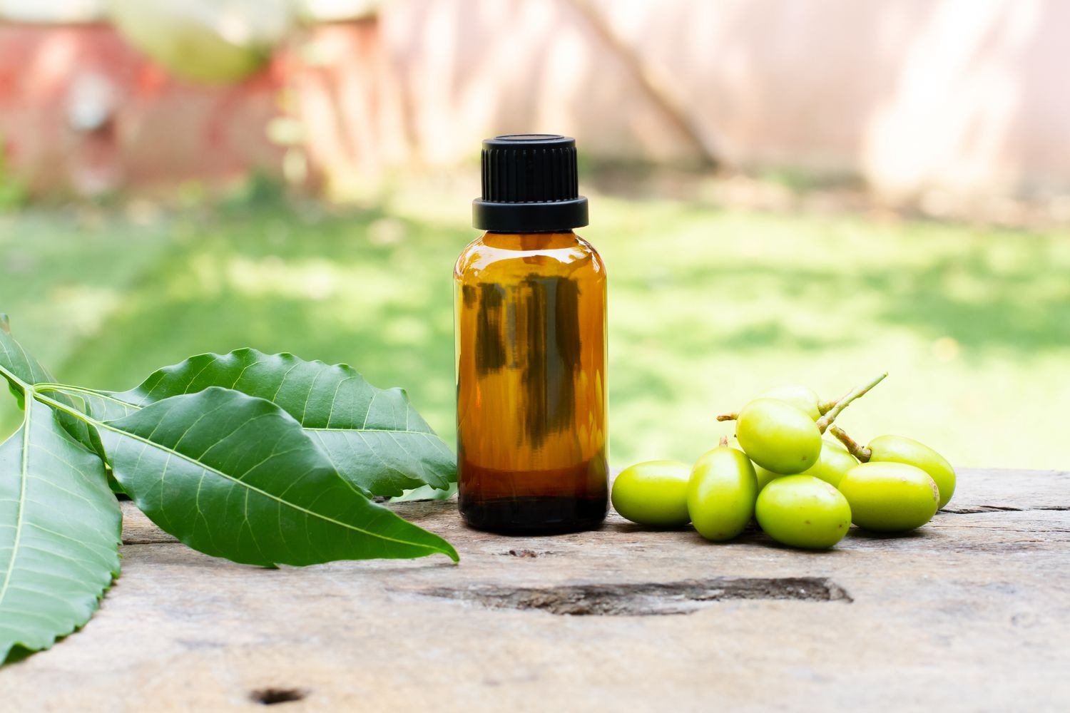 Neem Oil Exporter Canada