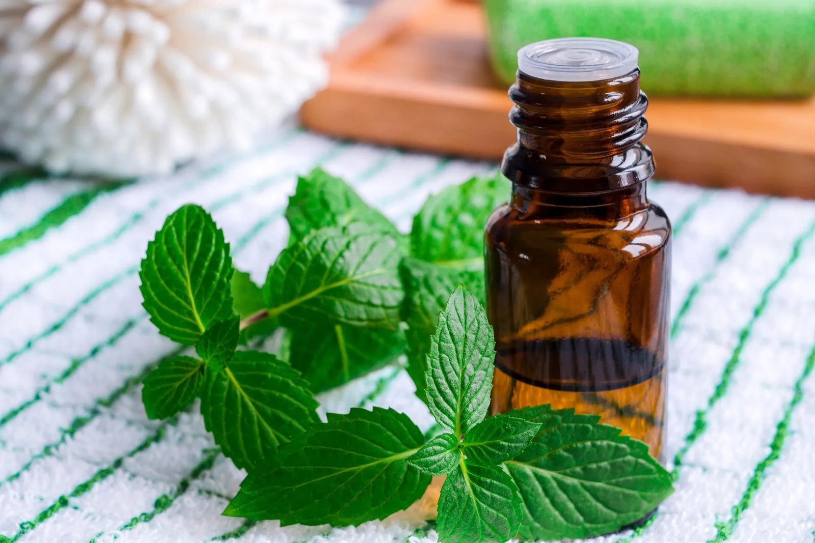 Organic Peppermint Oil