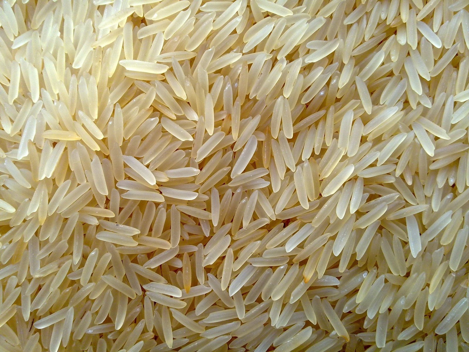 Sugandha Rice
